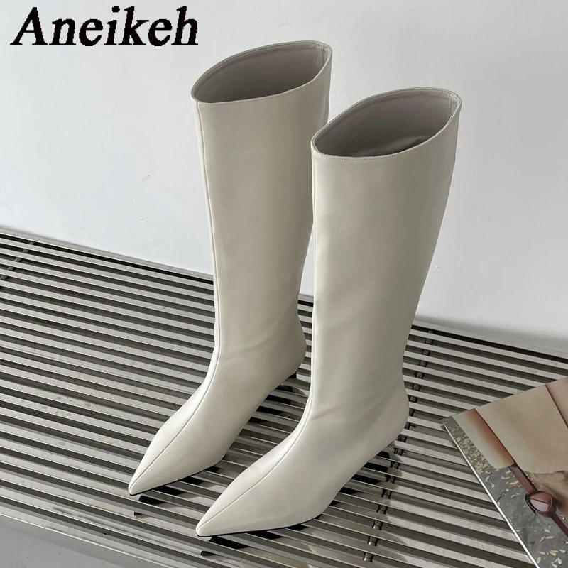 아네이케 2026 패션 섹시 포인티드 로우힐 니하이 롱 - Women'S Fashion Knee High Boots 리뷰 및 가격